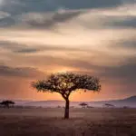 partir en vacances au kenya