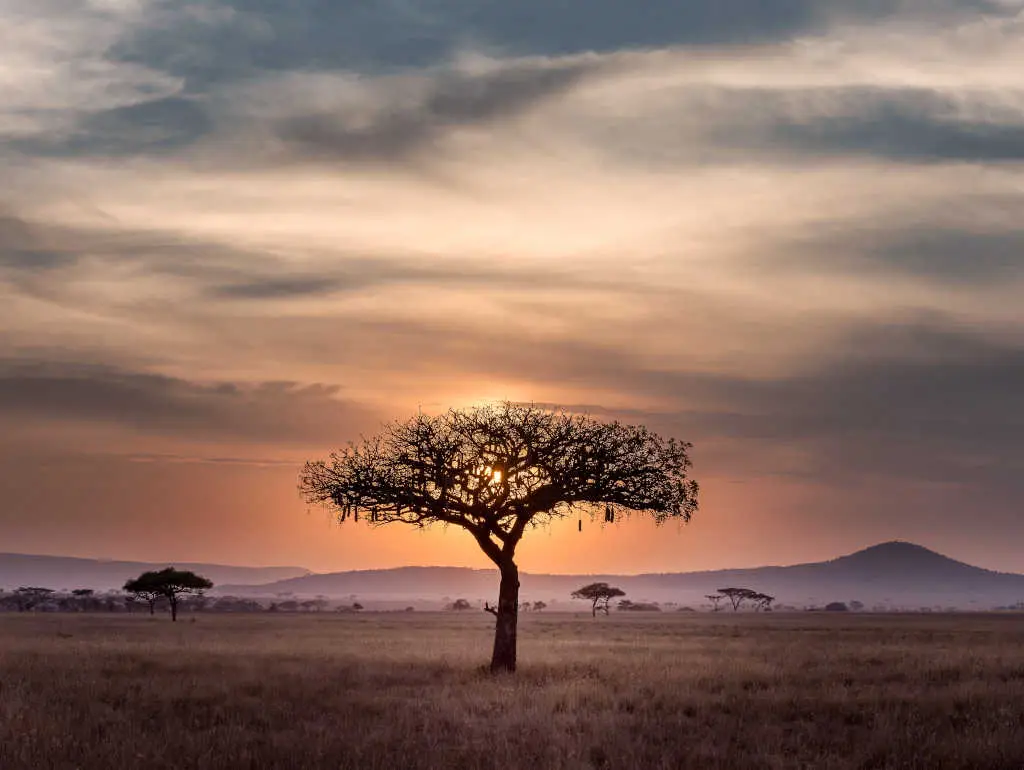 partir en vacances au kenya