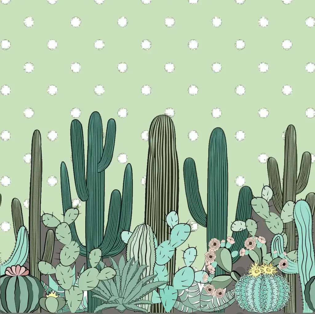 cactus-entretien